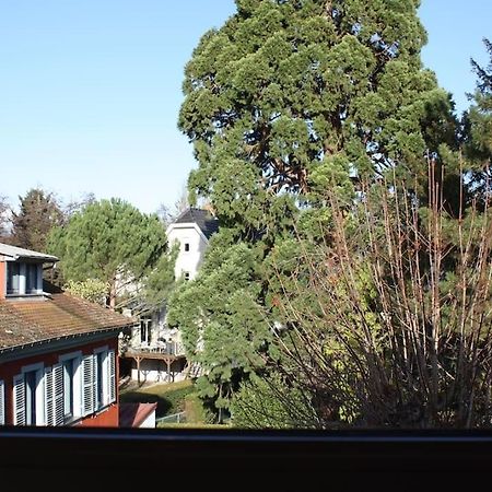 Superb Apt- Garden- 3 Parkings, Near Petite Venise ! Кольмар Экстерьер фото