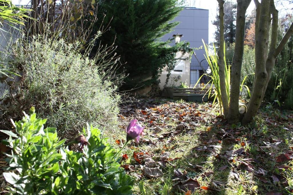 Superb Apt- Garden- 3 Parkings, Near Petite Venise ! Кольмар Экстерьер фото