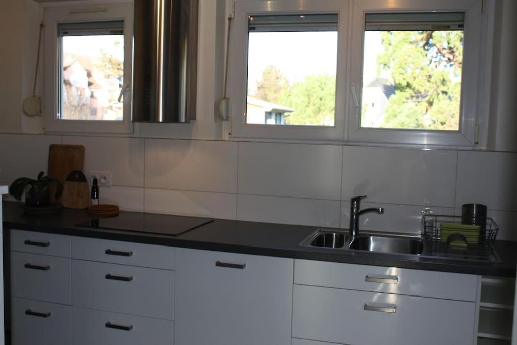 Superb Apt- Garden- 3 Parkings, Near Petite Venise ! Кольмар Экстерьер фото