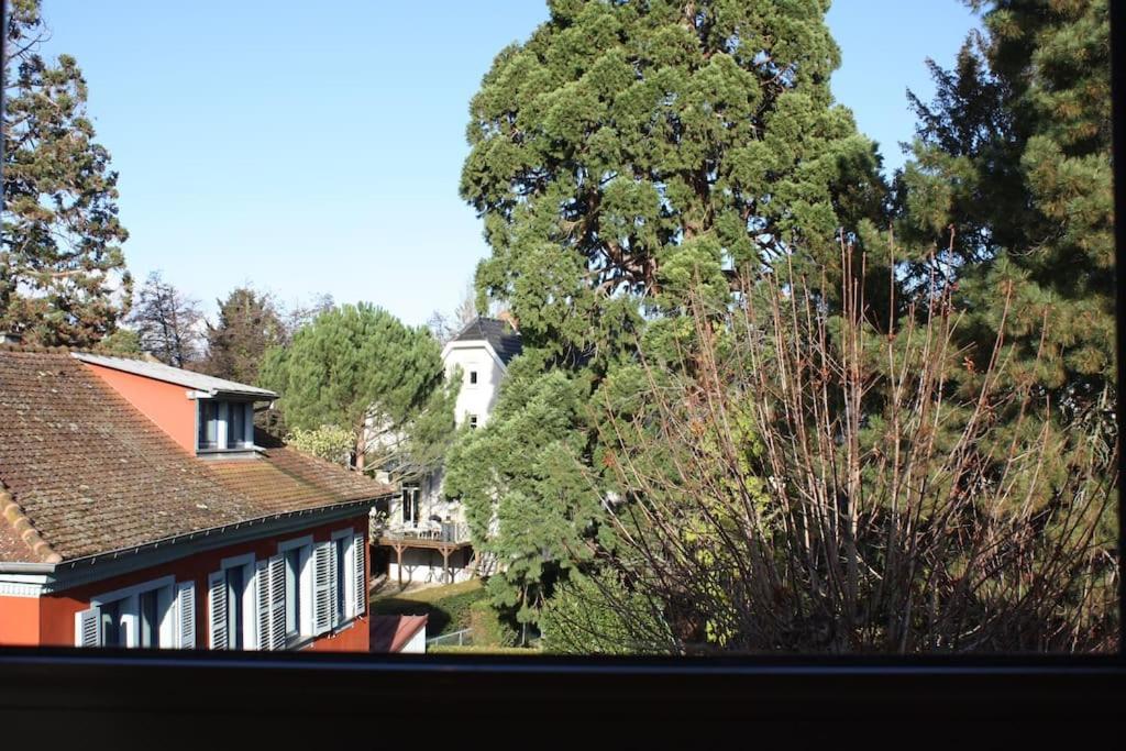 Superb Apt- Garden- 3 Parkings, Near Petite Venise ! Кольмар Экстерьер фото